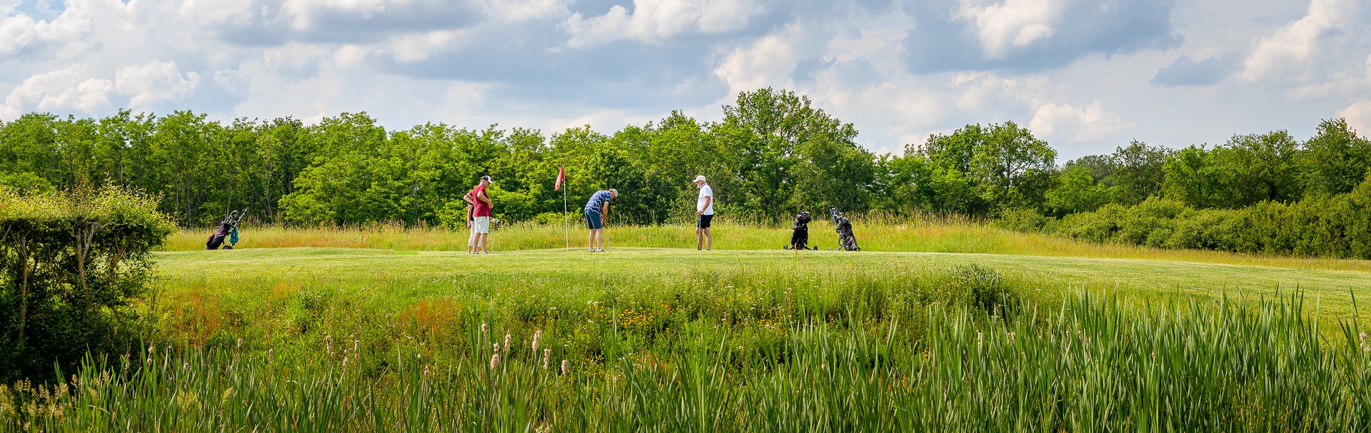 Venez decouvrir notre golf